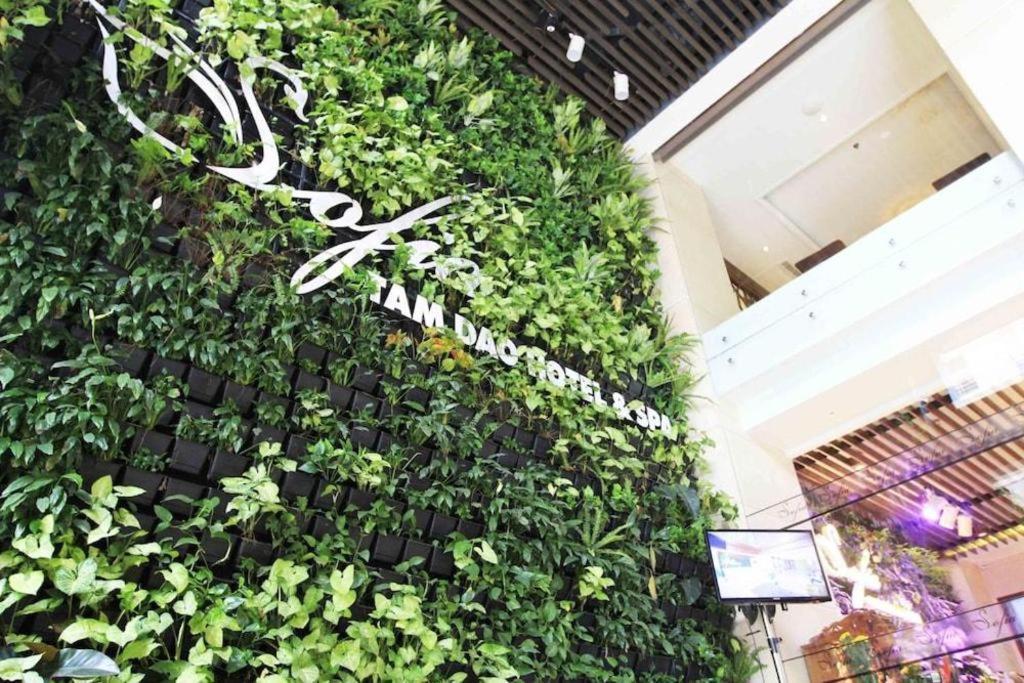 Thang Loi Tam Dao Hotel 외부 사진